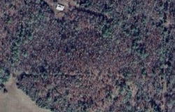 148 Sam Lane, Hatfield, AR 71945