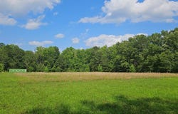 Tbd Pompey Town Road, Greeleyville, SC 29056