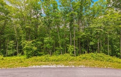 C45 Roaming Road, Glenville, NC 28736
