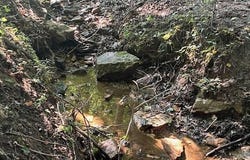 000 Potts Road, Mount Airy, NC 27030