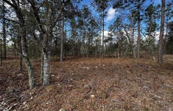SE 131ST AVENUE, DUNNELLON, FL 34431