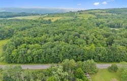 County Road 4, Hector, NY 14818