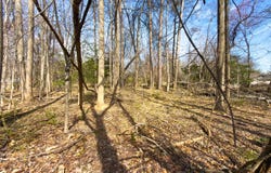 0 Blanton, Silver Spring, MD 20905