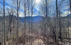 40 Shook Cove Road, Leicester, NC 28748