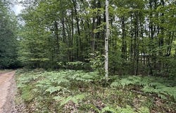V/L BEECHWOOD DRIVE, ROSCOMMON, MI 48653