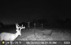 11653 FM 1226 Parcel C, Hawley, TX 79525
