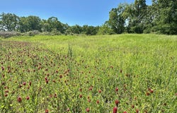 Malmaison Road, Carrollton, MS 38917