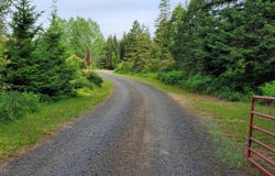 8549 Dent Bridge Road, Orofino, ID 83544
