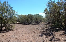 8337 Navajo Drive, Show Low, AZ 85901