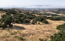 Cougar Ridge Road, BUELLTON, CA 93427