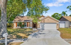 802 SMITH BAY DRIVE, BRANDON, FL 33510