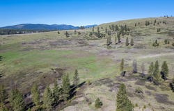TBD COBBS CREEK RD, INCHELIUM, WA 99138