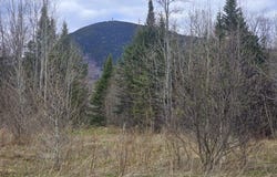 36 Chimney Rock Road, Temple, ME 04984