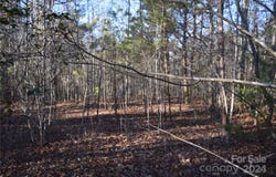 Tayberry Drive lot: 74, Nebo, NC 28761