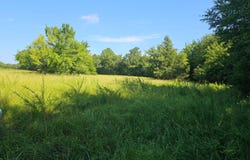 Cole Spur Loop, Tuskahoma, OK 74574