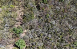 Lot 624 Laurel Road, Pocono Summit, PA 18346