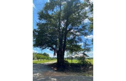 16+/-ac National Rd (16+-ac), Dothan, AL 36301