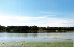 Lot 1014 Holly Drive Loop, Donalsonville, GA 39845