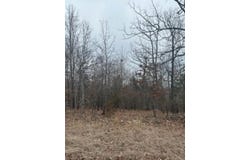 Lot 14 Buckhead Lane Lane, Mountain Home, AR 72653