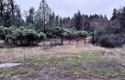 15.77 Acres, Dittman Road, Montgomery Creek, CA 96065
