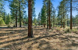 238 Redding Way, Carson City, NV 89705
