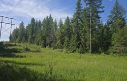 XXX HWY 395, LOON LAKE, WA 99148