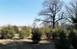 Lot 2 N 200 W, Rensselaer, IN 47978