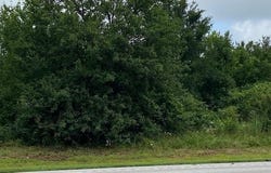 Bald Knob, AR 72010