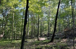 Conesus Sparta Townline Road, Sparta, NY 14437