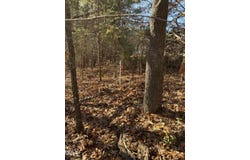 Matthews Drive, Henderson, NC 27537