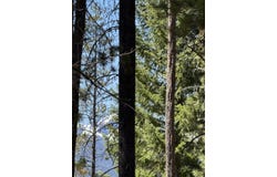 Siah Court, Crescent Lake, OR 97733