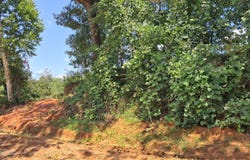 Gray Academy Road, Ashland, MS 38603