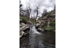 439 Redtail Ridge Way, Bellvue, CO 80512