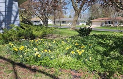 1600 N PALMETTO AVENUE, Marshfield, WI 54449