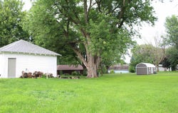 408 N Harrison Street, Laurens, IA 50554