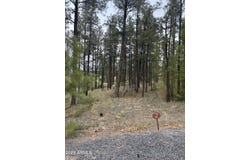 1021 STONE HOLLOW Loop, Williams, AZ 86046