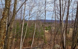 210 Sparrow Dr, Stamford, VT 05352