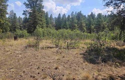 390 Evergreen, Pagosa Springs, CO 81147