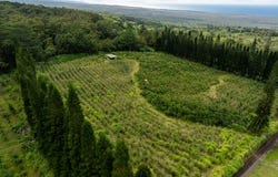 Pahala, HI 96777