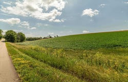 Lot 17 19.1 Acres Hefty Road, Monticello, WI 53570