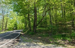 Sloan Gap Road, Ocoee, TN 37361