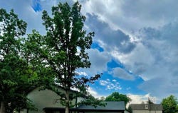 1325 Birch St, Fort Collins, CO 80521