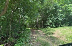 1525 Hwy 8, Houston, MS 38851