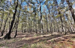 1444 Highway 165, Ft. Mitchell, AL 36856