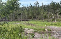 Mount Jack Road, Elmira, MI 49730