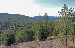 Nhn Brookes Drive, Rexford, MT 59930
