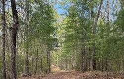 Lot 20 Big Ben, Ellijay, GA 30540