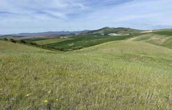 Nka Jacksha, Moscow, ID 83843