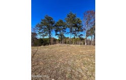 Lot 1a 2009 Scott Street, Sevierville, TN 37876