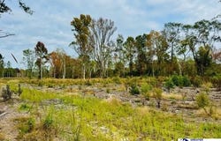 0000 Santa Anita Rd (4.61+/-), cheraw, SC 29520